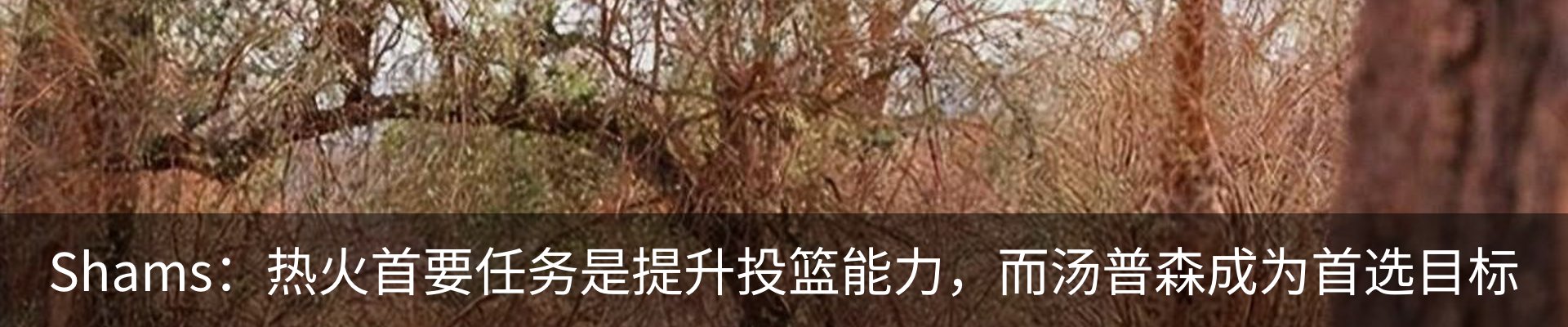 热点资讯